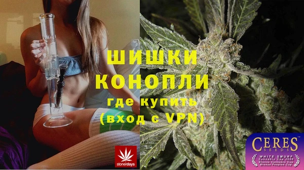 шишки Алзамай