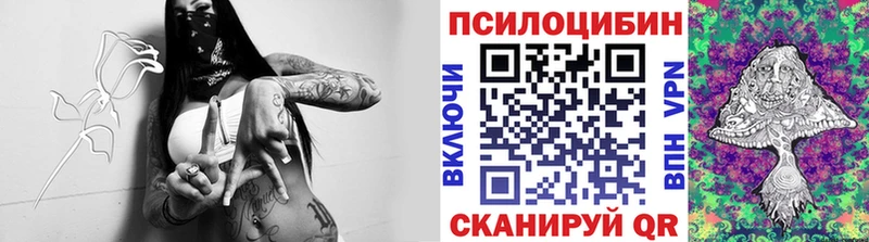 ОМГ ОМГ зеркало купить закладку Беслан Галлюциногенные грибы мицелий